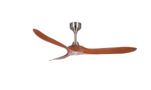 𝐀𝐂𝐎𝐑𝐀 𝟔𝟎