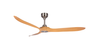 𝐀𝐂𝐎𝐑𝐀 𝟔𝟔